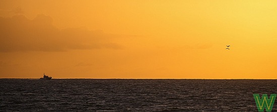 Saltpond Horizon