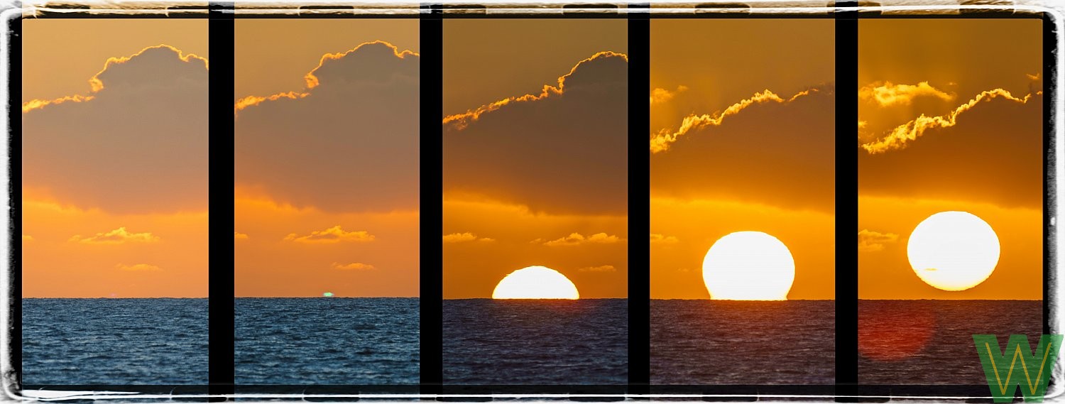 Green Flash Rising | wildKauai_photo-125.jpg