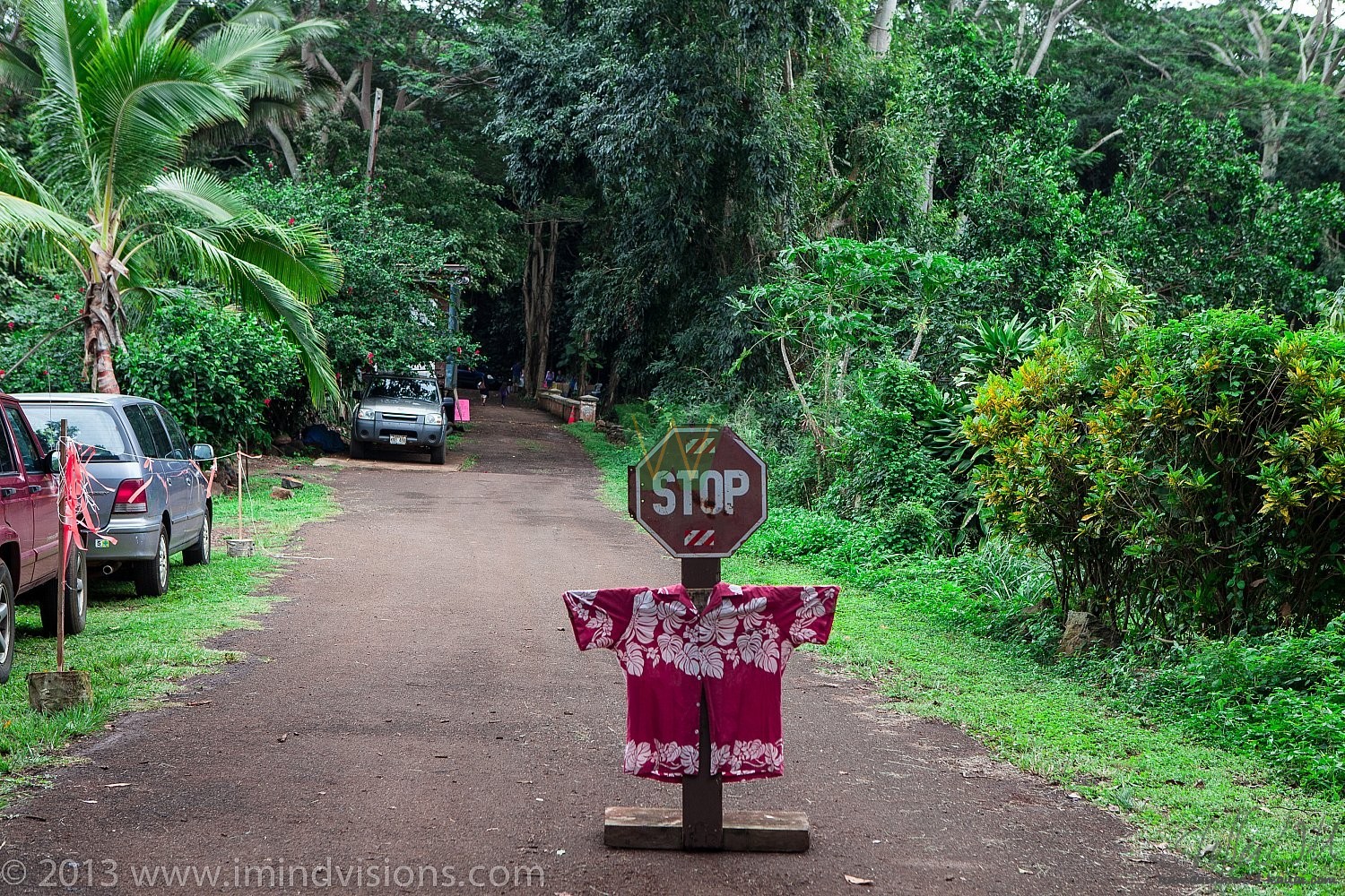 Taro Patch, New Year 2013