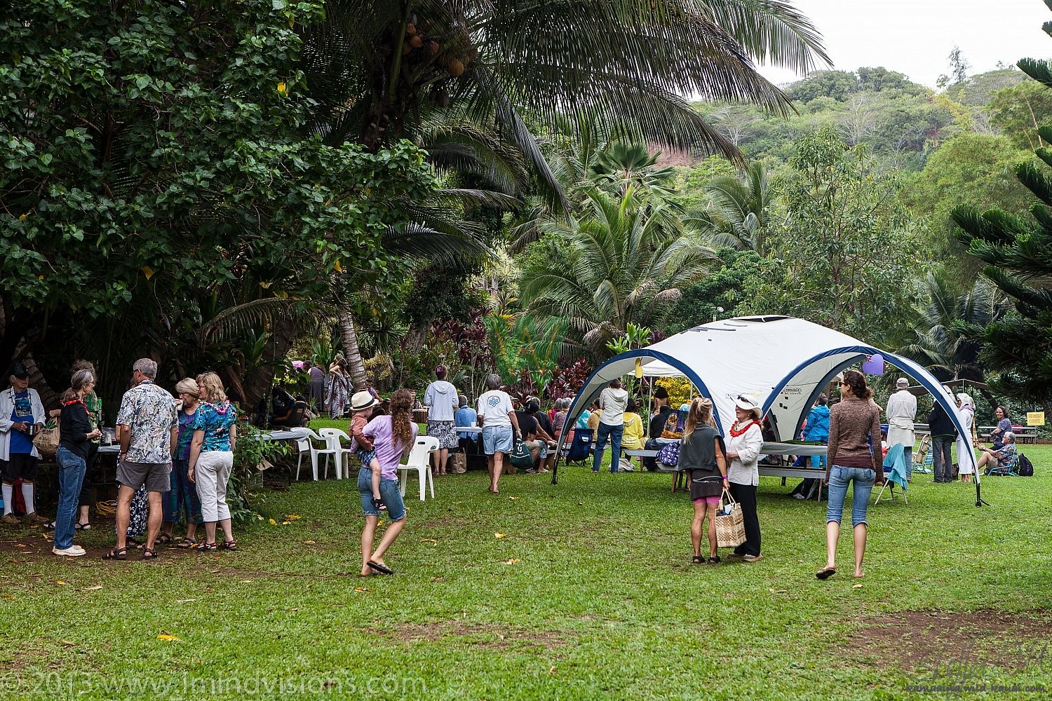 Taro Patch, New Year 2013