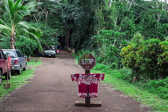 Taro Patch, New Year 2013