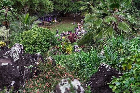 Taro Patch, New Year 2013