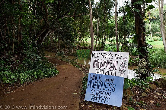 Taro Patch, New Year 2013