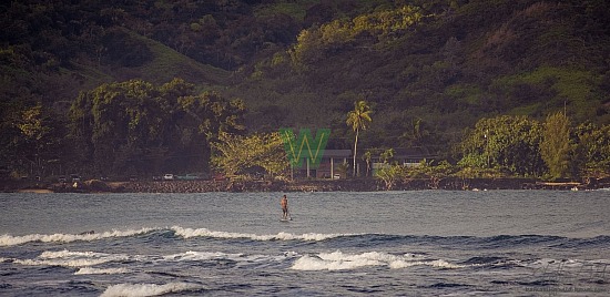 Hanalei Surf - 01/03/21