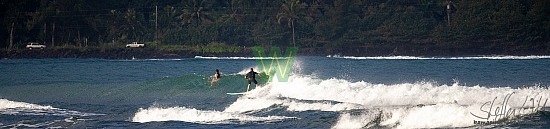 Hanalei Surf - 01/03/21