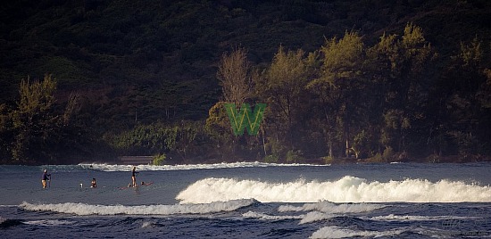 Hanalei Surf - 01/03/21