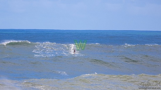 big wave surfing, black vest, haena, hāʻena, orange board, 01/16/21