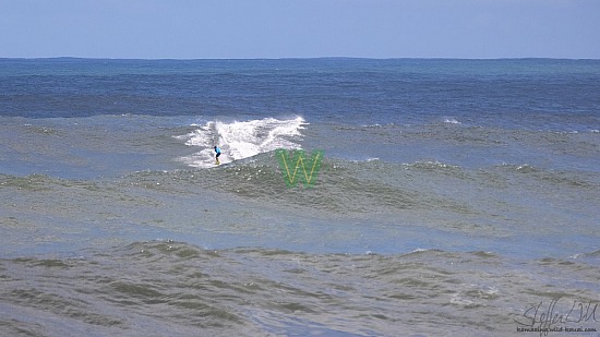 big wave surfing, blue vest, haena, hāʻena, yellow board, 01/16/21