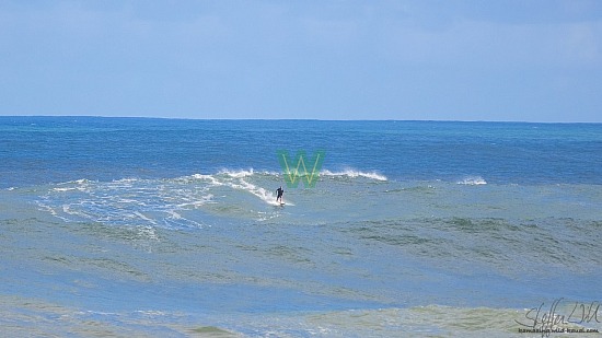 big wave surfing, black vest, haena, hāʻena, orange board, 01/16/21