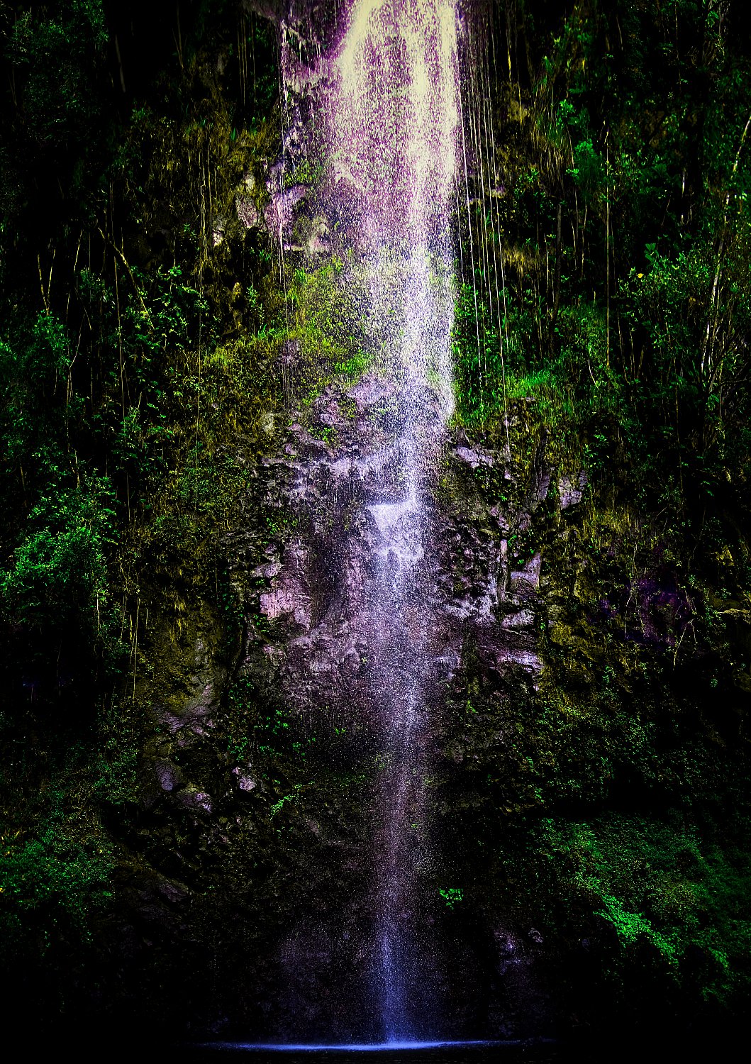 Secret Falls | wildKauai_secretFalls_12x17inches_.jpg