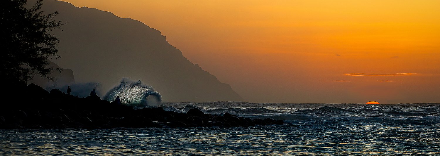 Ke'e Fan Wave | wildKauai_keeFanWave2013_18x6-4inches.jpg