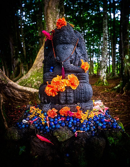 Magic Colorful Ganesha