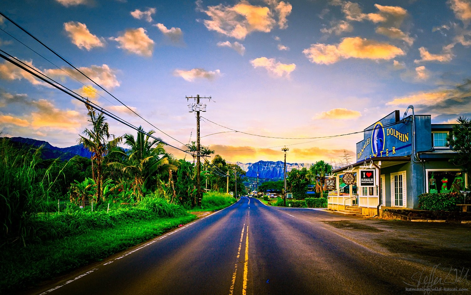 Hanalei Dolphin Center | wildKauai_dolpinCenter_7790x4888_webSize.jpg