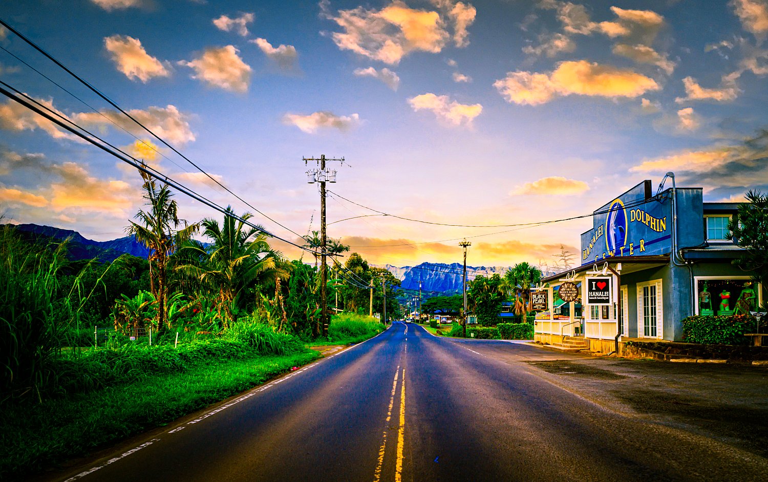 Better Picture Kauai - Workshop | wildKauai_dolpinCenter_7790x4888_webSize.jpg